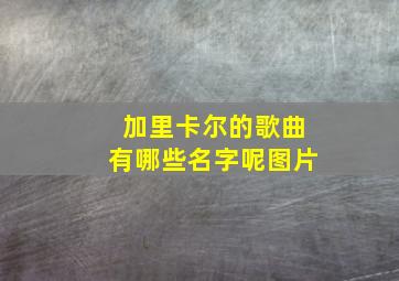 加里卡尔的歌曲有哪些名字呢图片