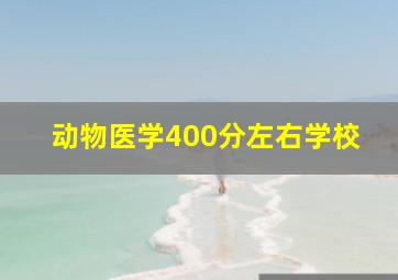 动物医学400分左右学校