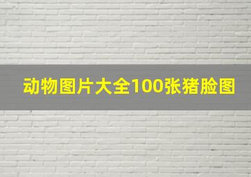 动物图片大全100张猪脸图