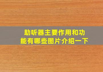 助听器主要作用和功能有哪些图片介绍一下