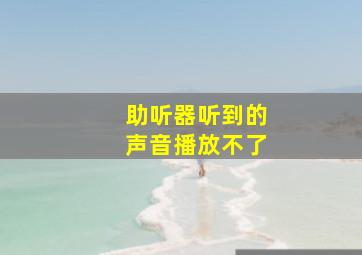 助听器听到的声音播放不了