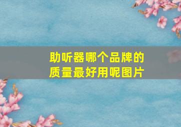 助听器哪个品牌的质量最好用呢图片