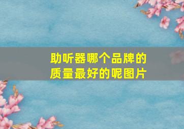 助听器哪个品牌的质量最好的呢图片