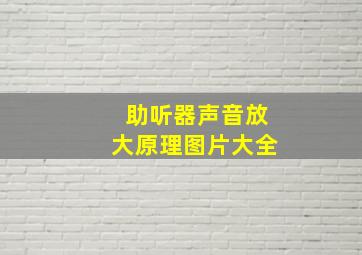 助听器声音放大原理图片大全