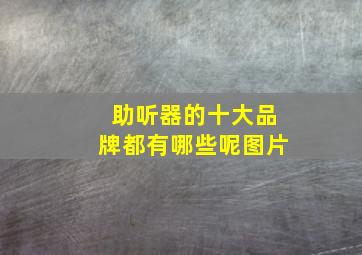 助听器的十大品牌都有哪些呢图片