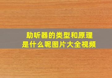 助听器的类型和原理是什么呢图片大全视频