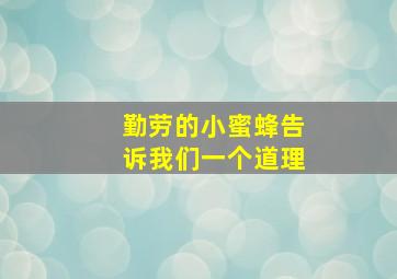 勤劳的小蜜蜂告诉我们一个道理