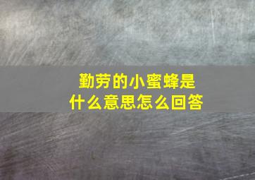 勤劳的小蜜蜂是什么意思怎么回答