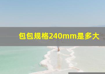 包包规格240mm是多大