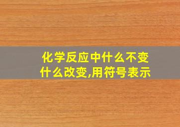 化学反应中什么不变什么改变,用符号表示