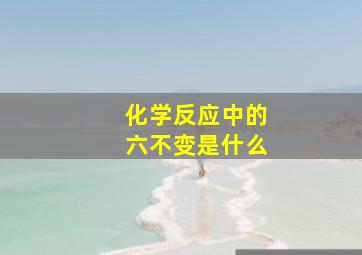 化学反应中的六不变是什么