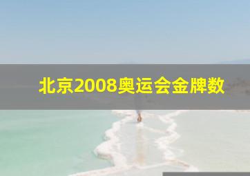 北京2008奥运会金牌数