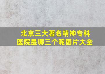 北京三大著名精神专科医院是哪三个呢图片大全