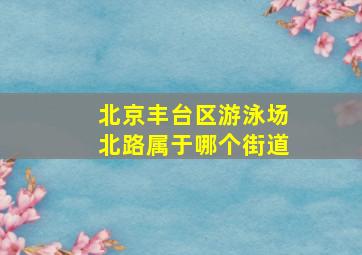 北京丰台区游泳场北路属于哪个街道