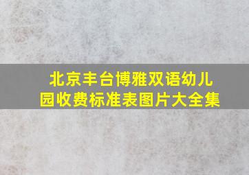 北京丰台博雅双语幼儿园收费标准表图片大全集