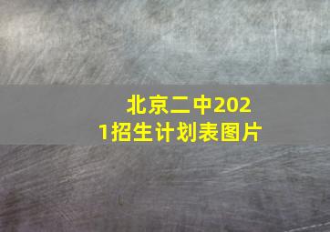 北京二中2021招生计划表图片