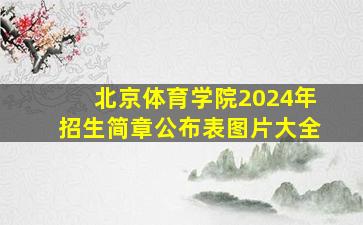 北京体育学院2024年招生简章公布表图片大全