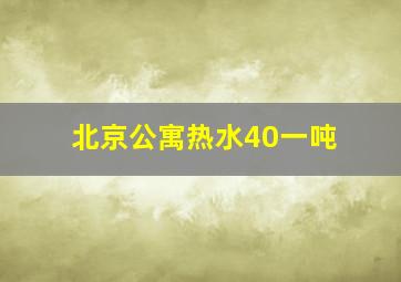 北京公寓热水40一吨