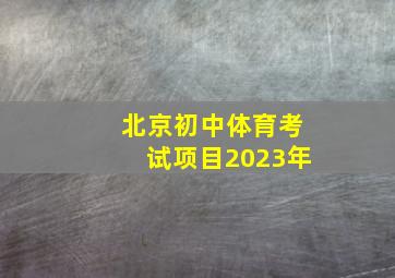 北京初中体育考试项目2023年