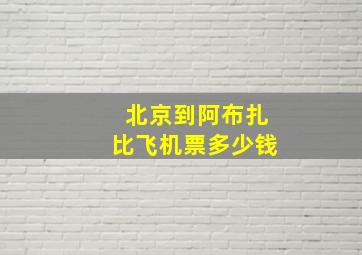 北京到阿布扎比飞机票多少钱