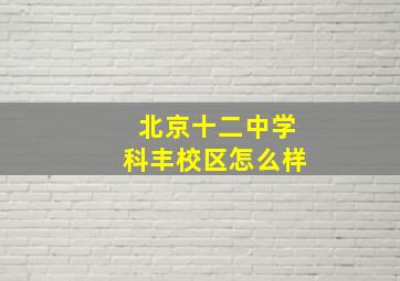 北京十二中学科丰校区怎么样