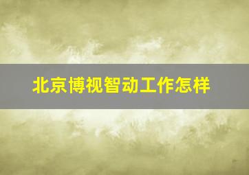 北京博视智动工作怎样