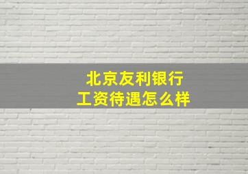 北京友利银行工资待遇怎么样