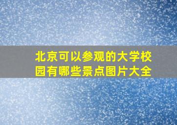 北京可以参观的大学校园有哪些景点图片大全