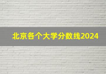 北京各个大学分数线2024