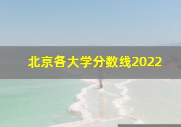 北京各大学分数线2022