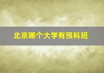 北京哪个大学有预科班