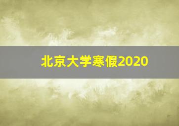 北京大学寒假2020