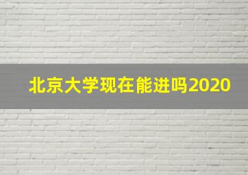 北京大学现在能进吗2020