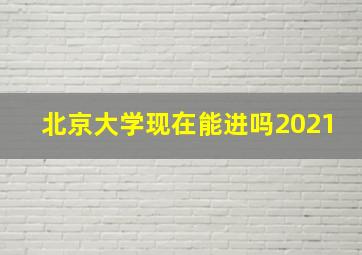 北京大学现在能进吗2021