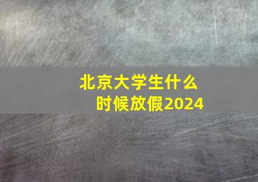 北京大学生什么时候放假2024