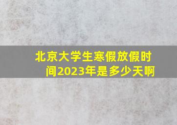 北京大学生寒假放假时间2023年是多少天啊