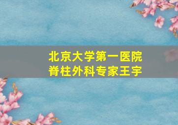 北京大学第一医院脊柱外科专家王宇