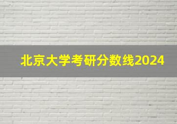 北京大学考研分数线2024