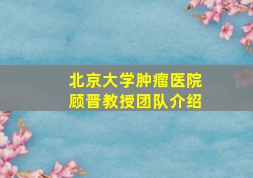 北京大学肿瘤医院顾晋教授团队介绍