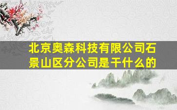 北京奥森科技有限公司石景山区分公司是干什么的