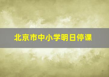 北京市中小学明日停课