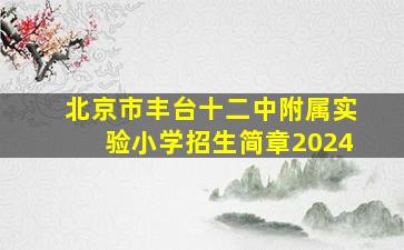 北京市丰台十二中附属实验小学招生简章2024