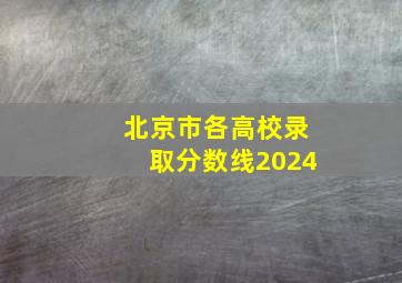 北京市各高校录取分数线2024