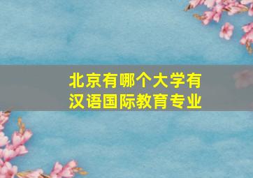 北京有哪个大学有汉语国际教育专业