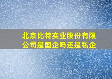 北京比特实业股份有限公司是国企吗还是私企