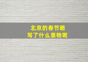 北京的春节略写了什么景物呢