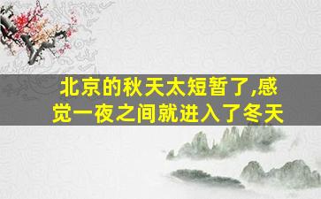 北京的秋天太短暂了,感觉一夜之间就进入了冬天