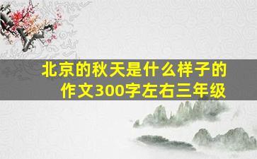 北京的秋天是什么样子的作文300字左右三年级