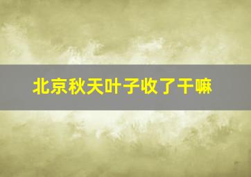 北京秋天叶子收了干嘛