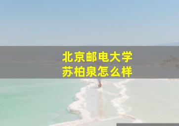 北京邮电大学苏柏泉怎么样